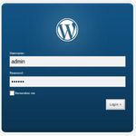wordpress-admin-parolasi